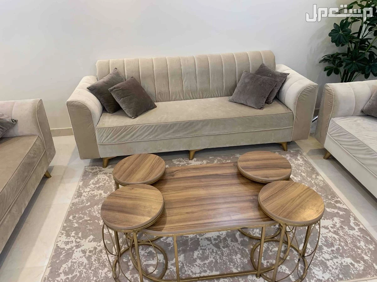 كنب وطاوله للبيع نظيف جدا في تبوك بسعر 600 ريال سعودي