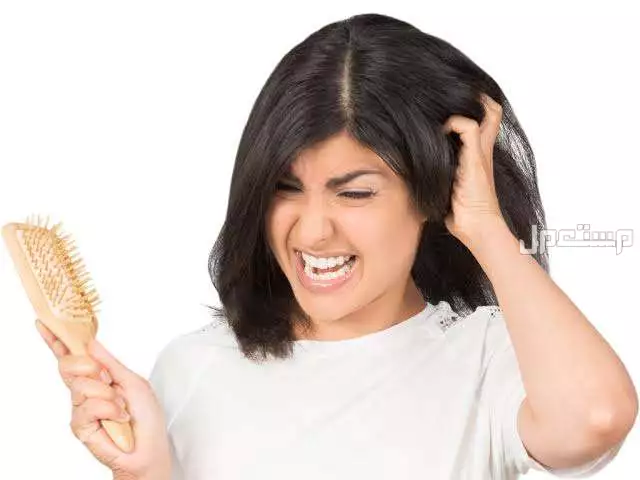 ما تفسير القمل الكثير في الشعر للمتزوجة والعزباء بالتفصيل؟ حكة بسبب القمل في الشعر