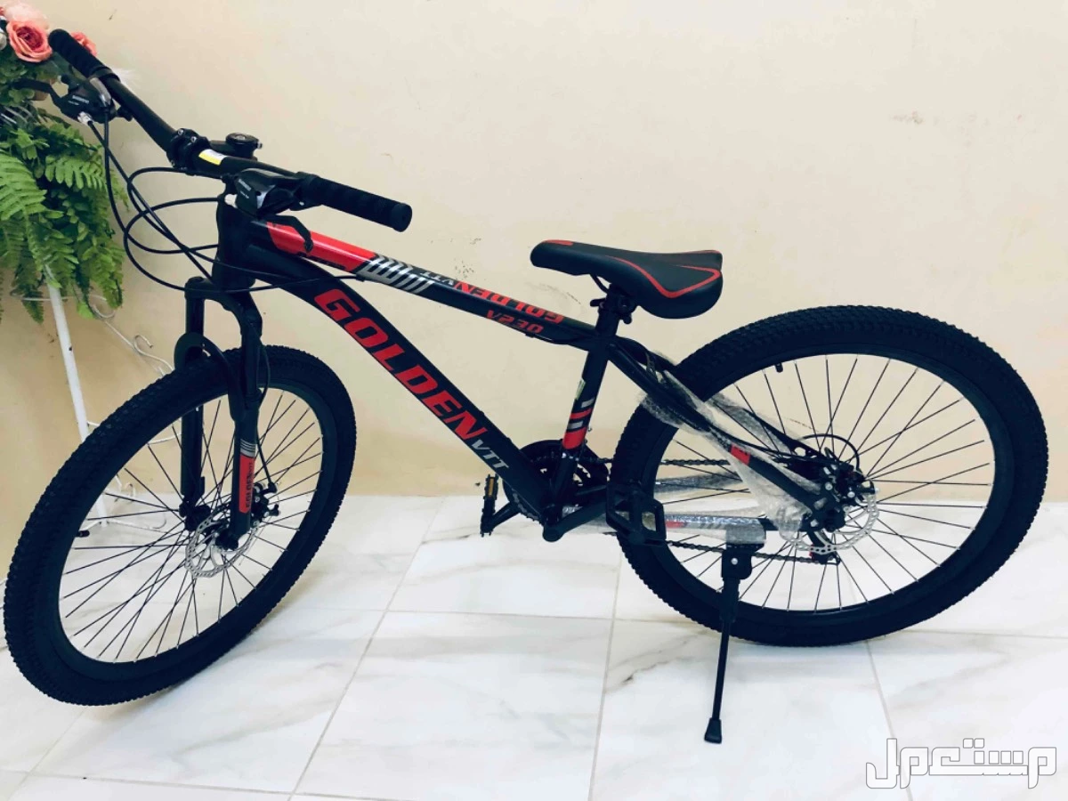 سيكل جولدن في في تي جديد في الخبر