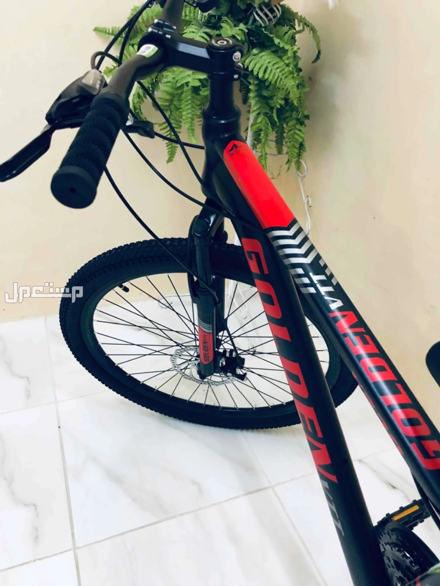 سيكل جولدن في في تي جديد في الخبر