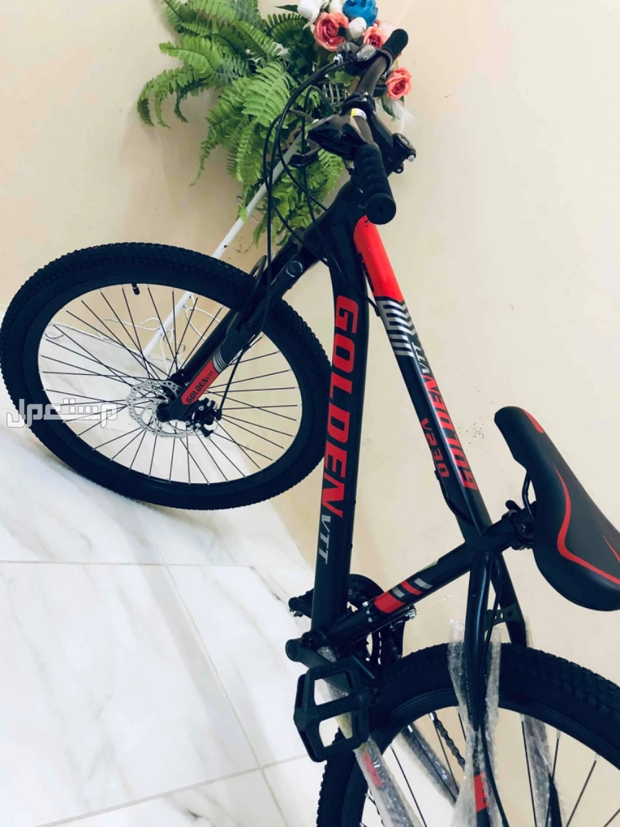 سيكل جولدن في في تي جديد في الخبر