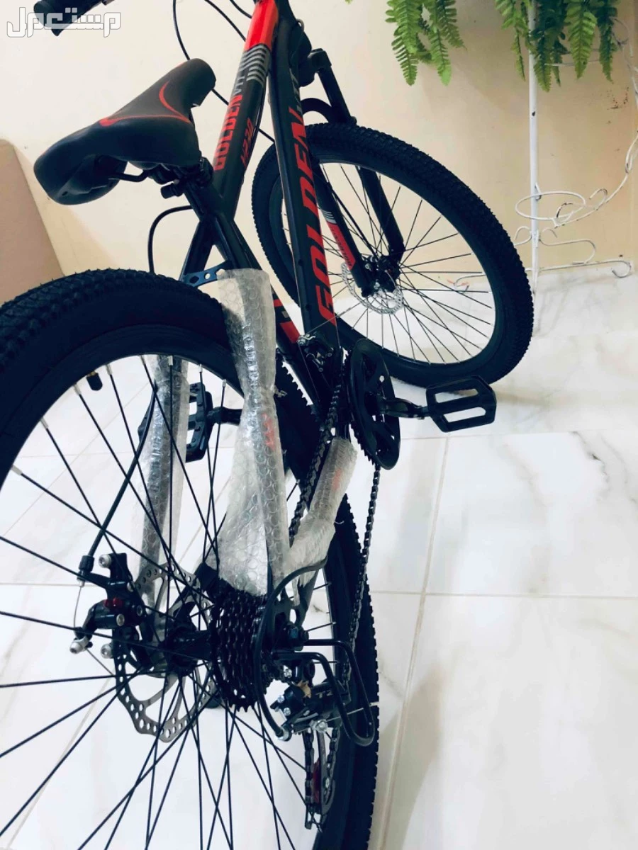 سيكل جولدن في في تي جديد في الخبر