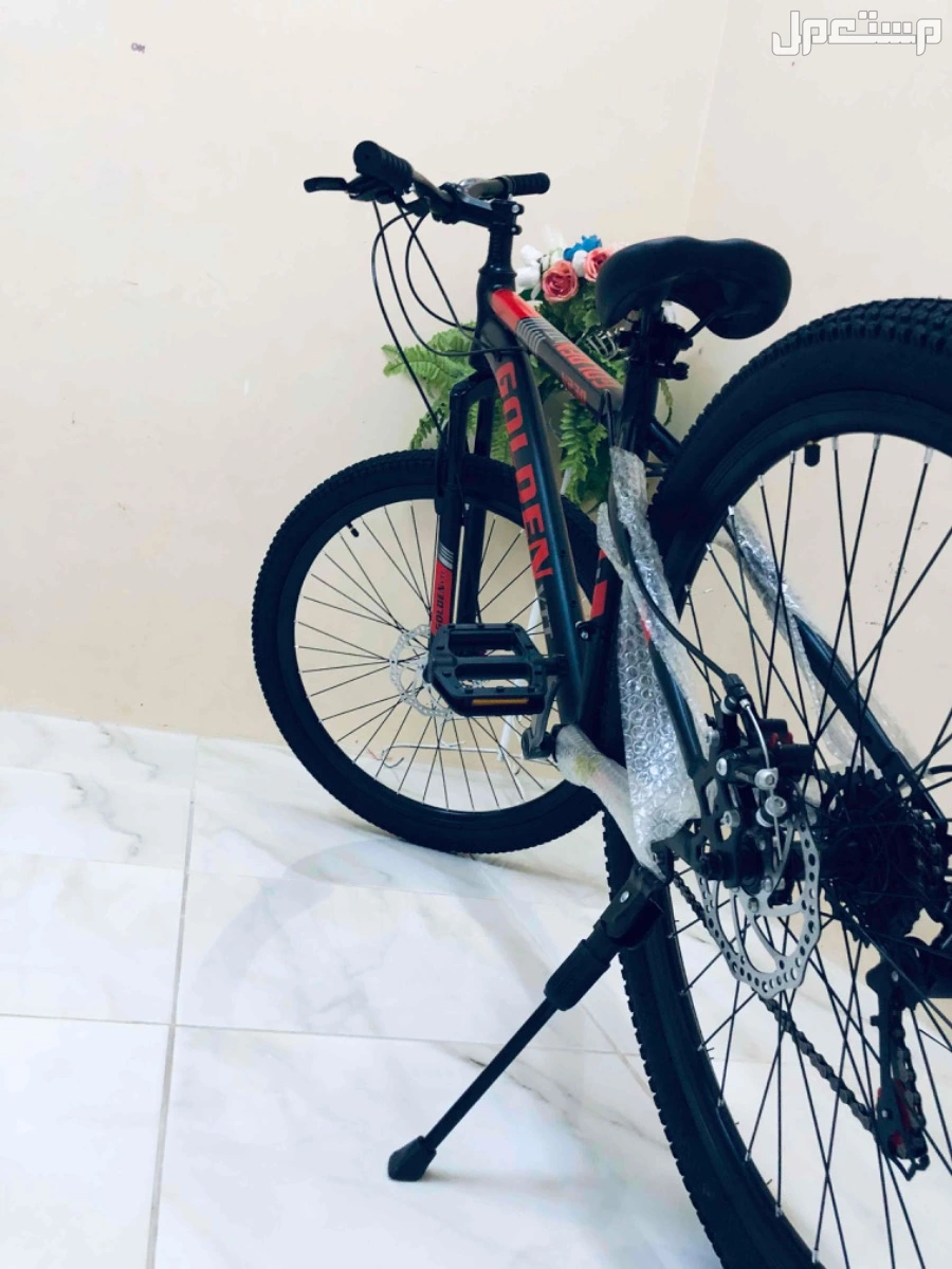 سيكل جولدن في في تي جديد في الخبر