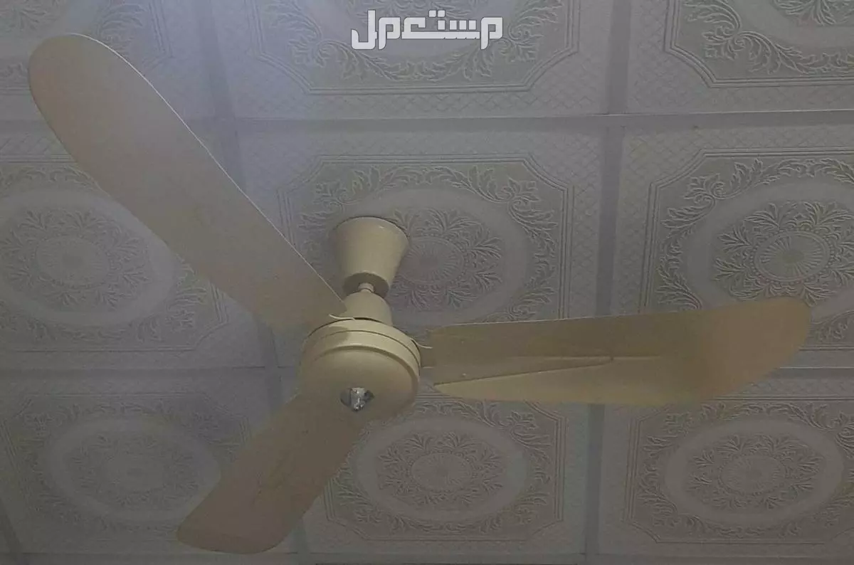 مراوح TAT الاصلية 80  في الأحساء بسعر 80 ريال سعودي