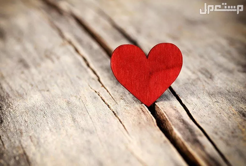 أجمل عبارات ورسائل حب للزوج بالإنجليزي مع الترجمة 2026 رسائل صباحية للزوج 2026