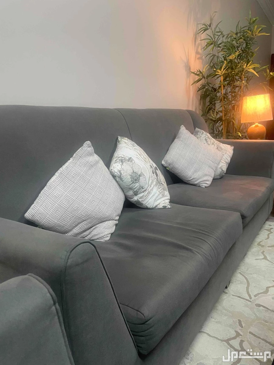 كنب في الخبر بسعر 800 ريال سعودي