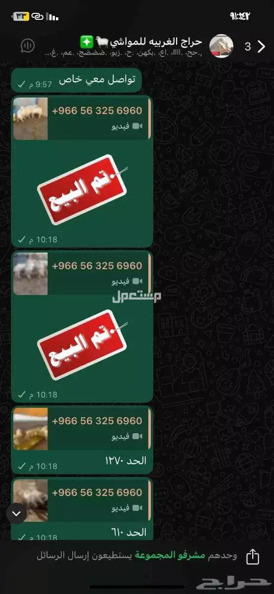 قروب حلال للبيع  في الطائف بسعر 400 ريال سعودي