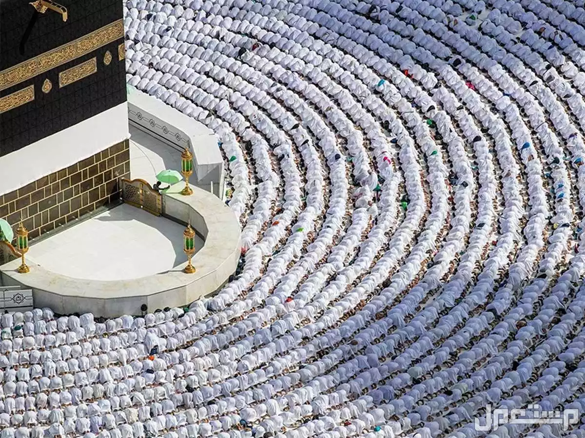 أفضل وقت لحجز باقات الحج 2026 بأسعار مناسبة: دليل شامل كيف أحجز الحج 2026؟