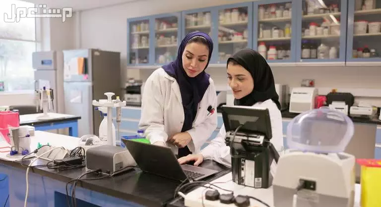صور وعبارات اليوم العالمي للمعلم 2025 مكتوبة مع الصور يوم المعلم العالمي 2025