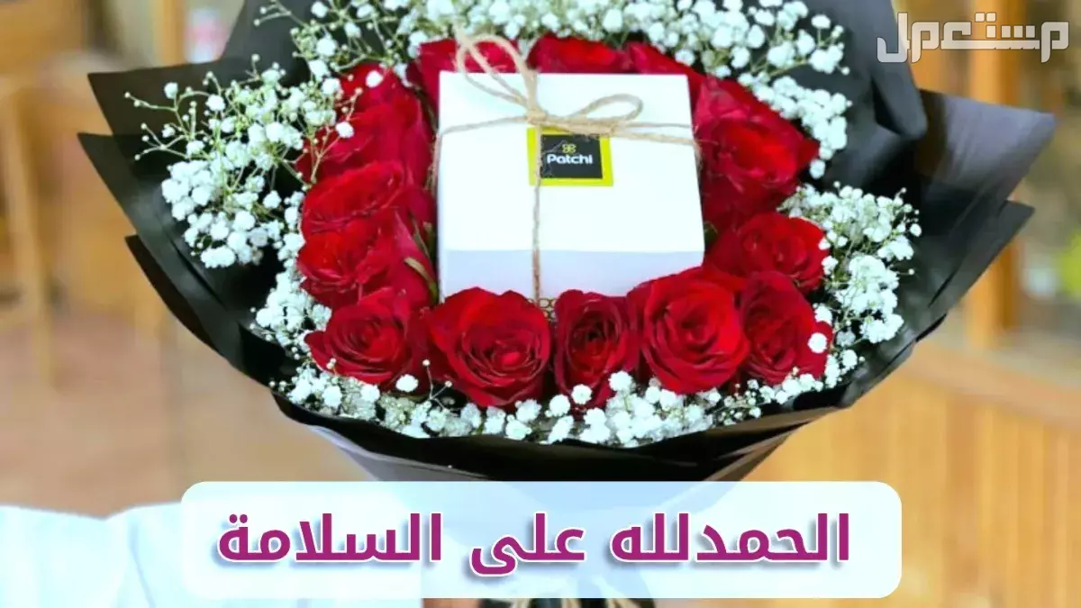 أجمل عبارات الحمد لله على السلامة بعد السفر والمرض وحوادث السير أجمل عبارات تمني السلامة مكتوبة 2026