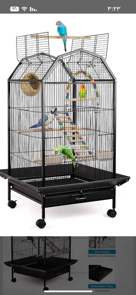 للبيع طيور بادجي ذكر و2 أنثي  مع ملحقاته  في جدة بسعر 300 ريال سعودي