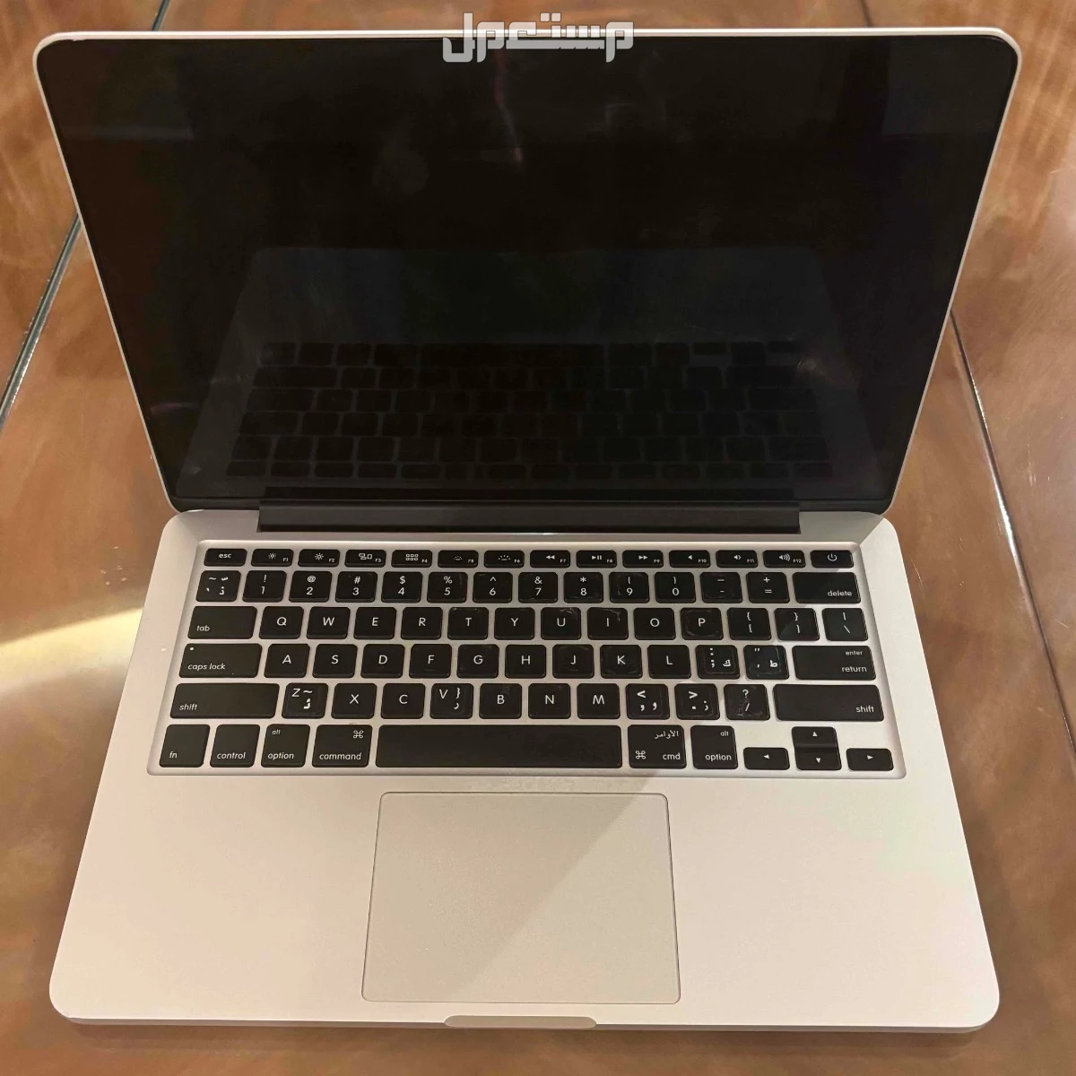 MacBook Pro Retina 13-inch (Early 2013)