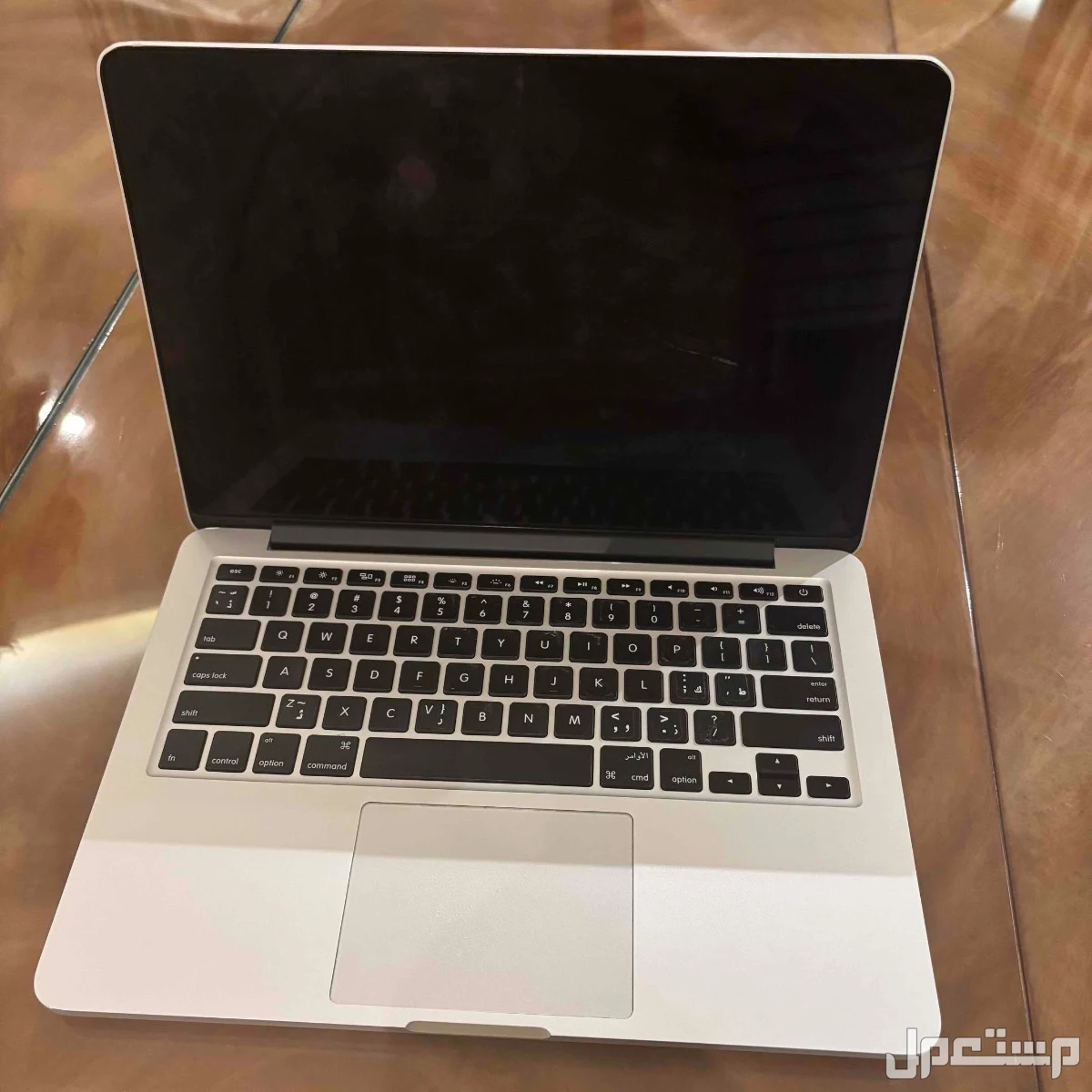 MacBook Pro Retina 13-inch (Early 2013)