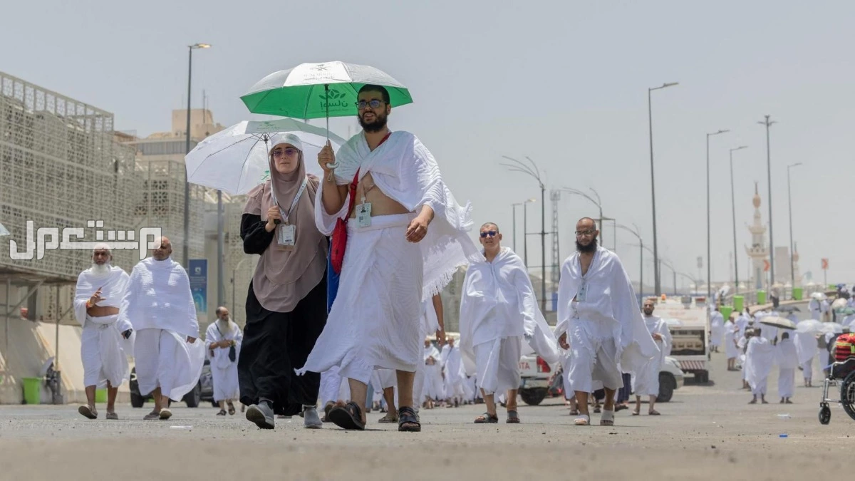 رابط التقديم لحج القرعة لعام 2026 اون لاين حج القرعة 2026