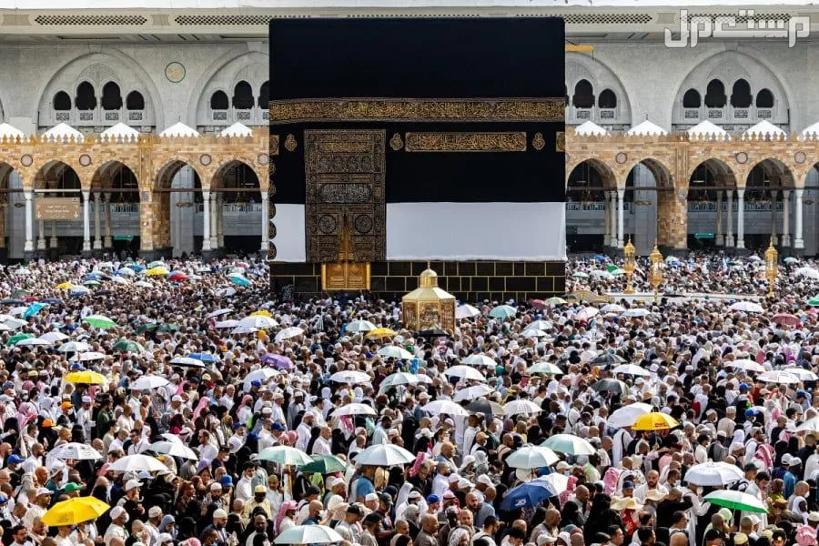 رابط التقديم لحج القرعة لعام 2026 اون لاين رابط التقديم لحج القرعة لعام 2026