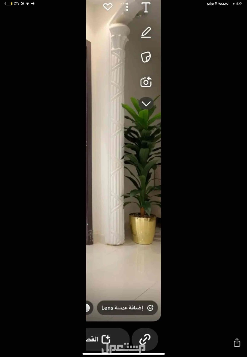 شجره للبيع نظيفه وكبيره بدون اي عيوب سبب البيع النقل المفاجئ شريتها قبل كم شهر ب 220 في الرياض بسعر 140 ريال