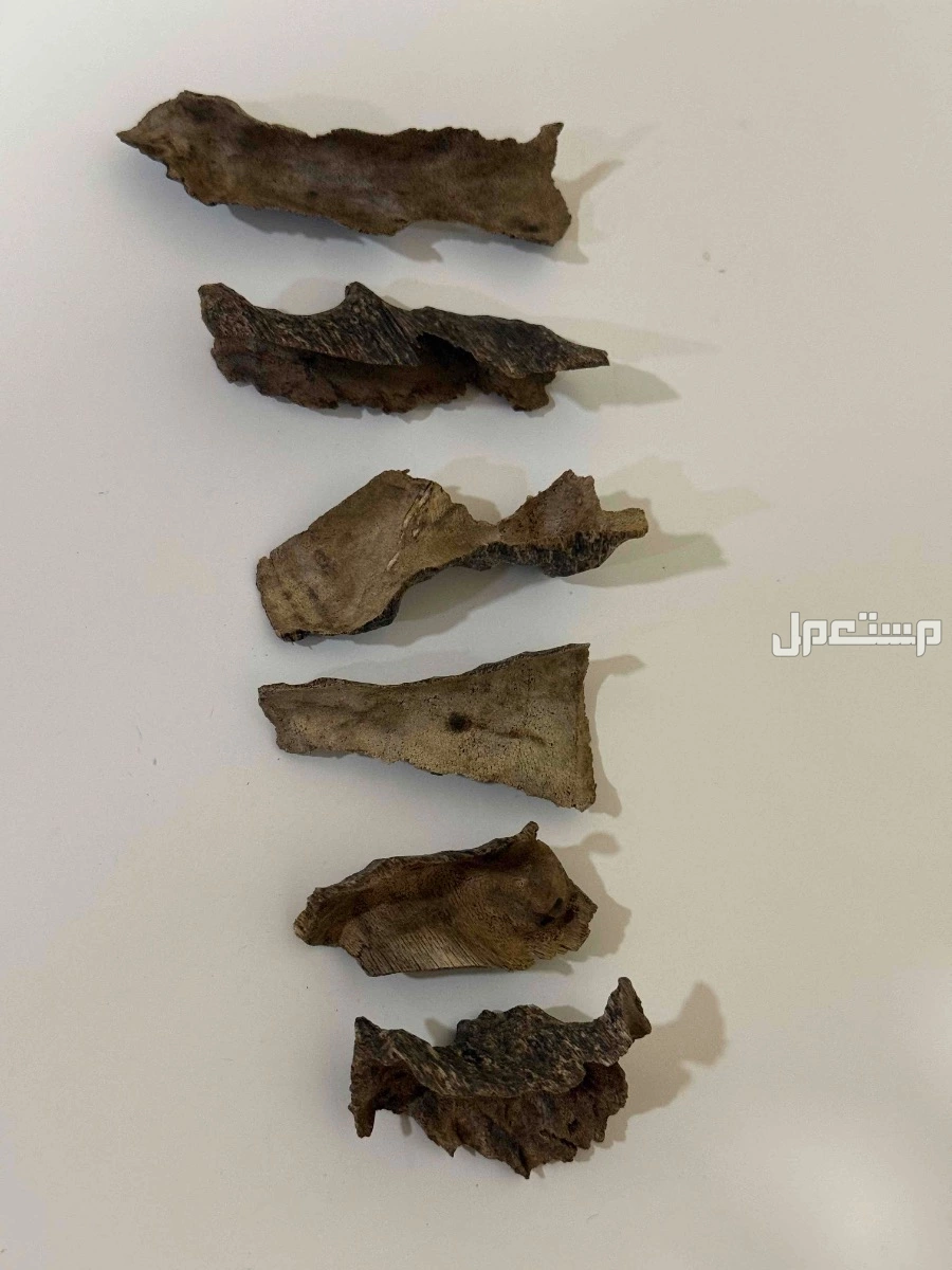 عود زوايا فيتنامي ملكي دبل سوبر في الدمام 120 ريال سعودي