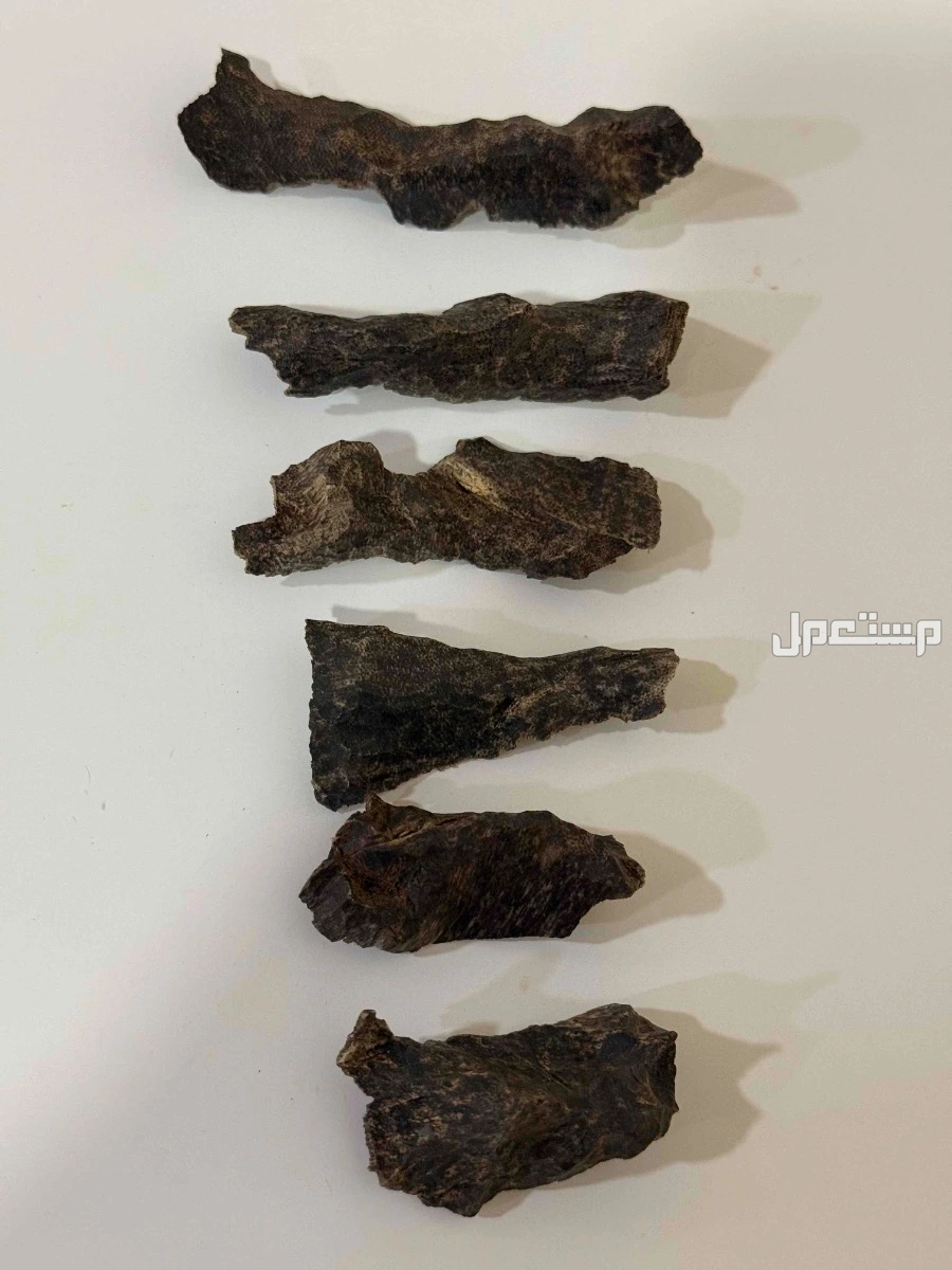 عود زوايا فيتنامي ملكي دبل سوبر في الدمام 120 ريال سعودي