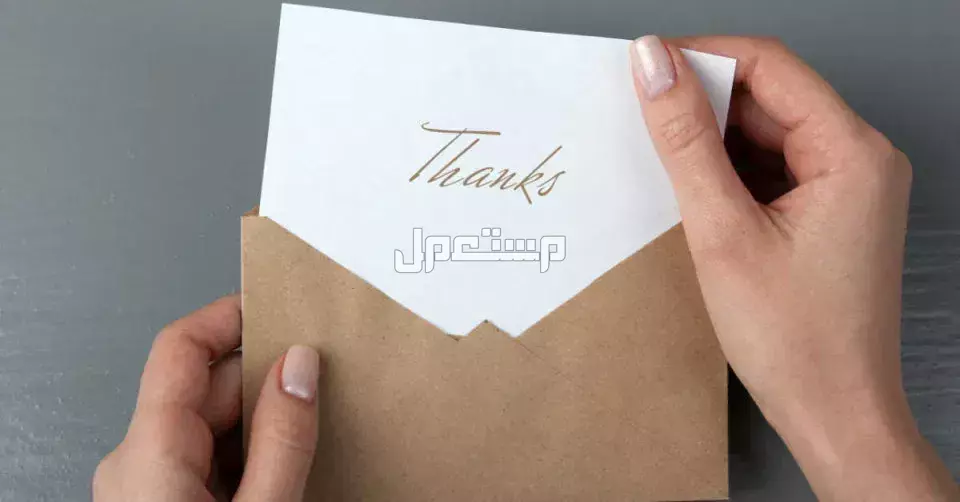 أفضل رسائل شكر لزملاء العمل بعد الاستقالة: 20 رسالة وداع وامتنان أجمل رسائل وداع زملاء العمل 2026