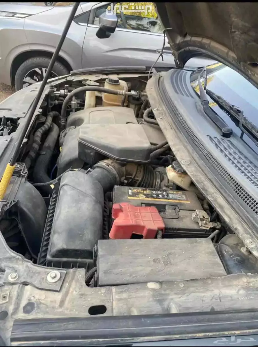 فورد تيرتوري 2024 وسياره اخرى للبيع على السوم المستعجل بالبيع مضطر