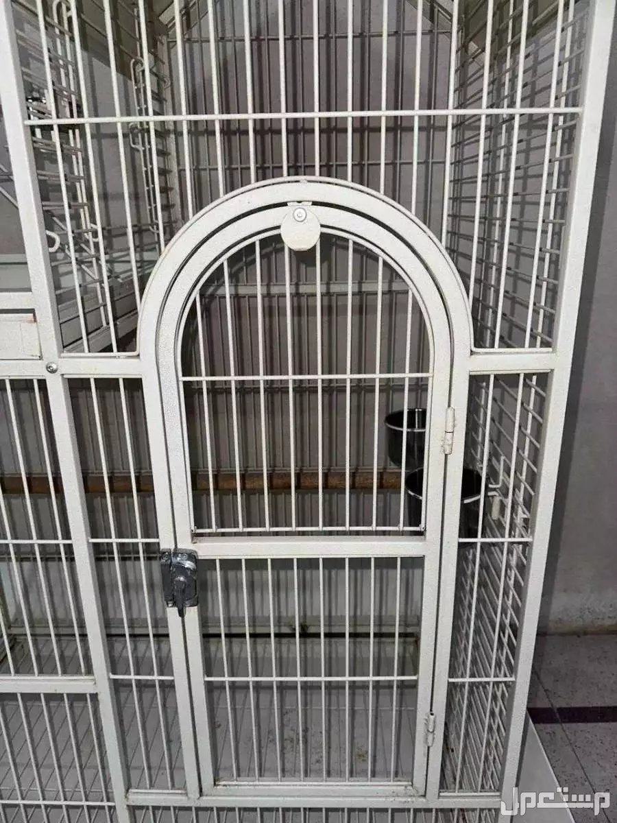 قفص بغبغاء  كبير  في الرياض بسعر 450 ريال سعودي