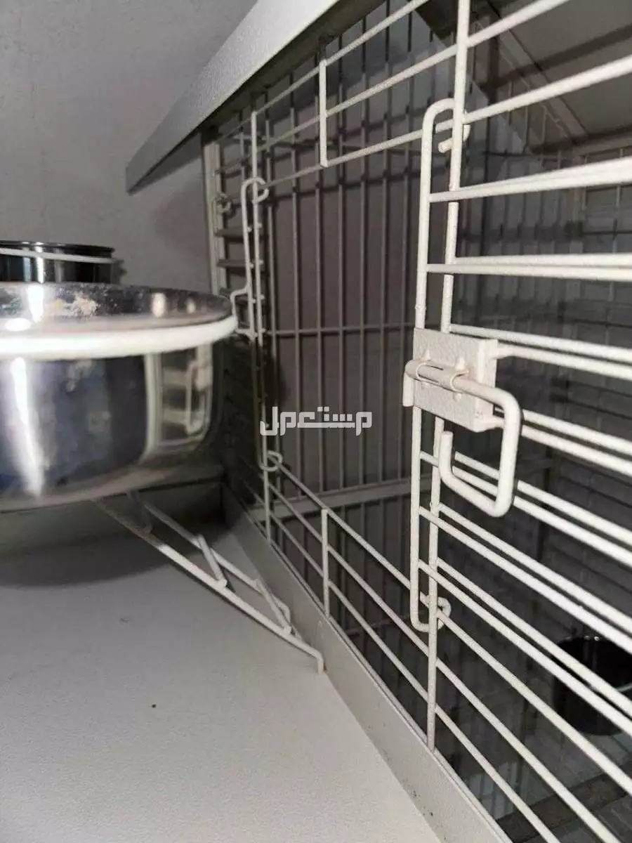 قفص بغبغاء  كبير  في الرياض بسعر 450 ريال سعودي