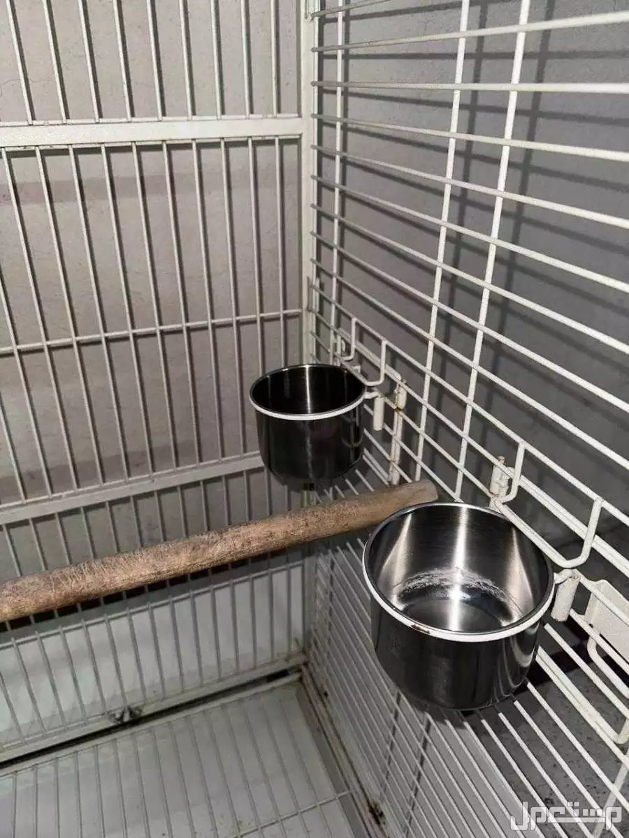 قفص بغبغاء  كبير  في الرياض بسعر 450 ريال سعودي