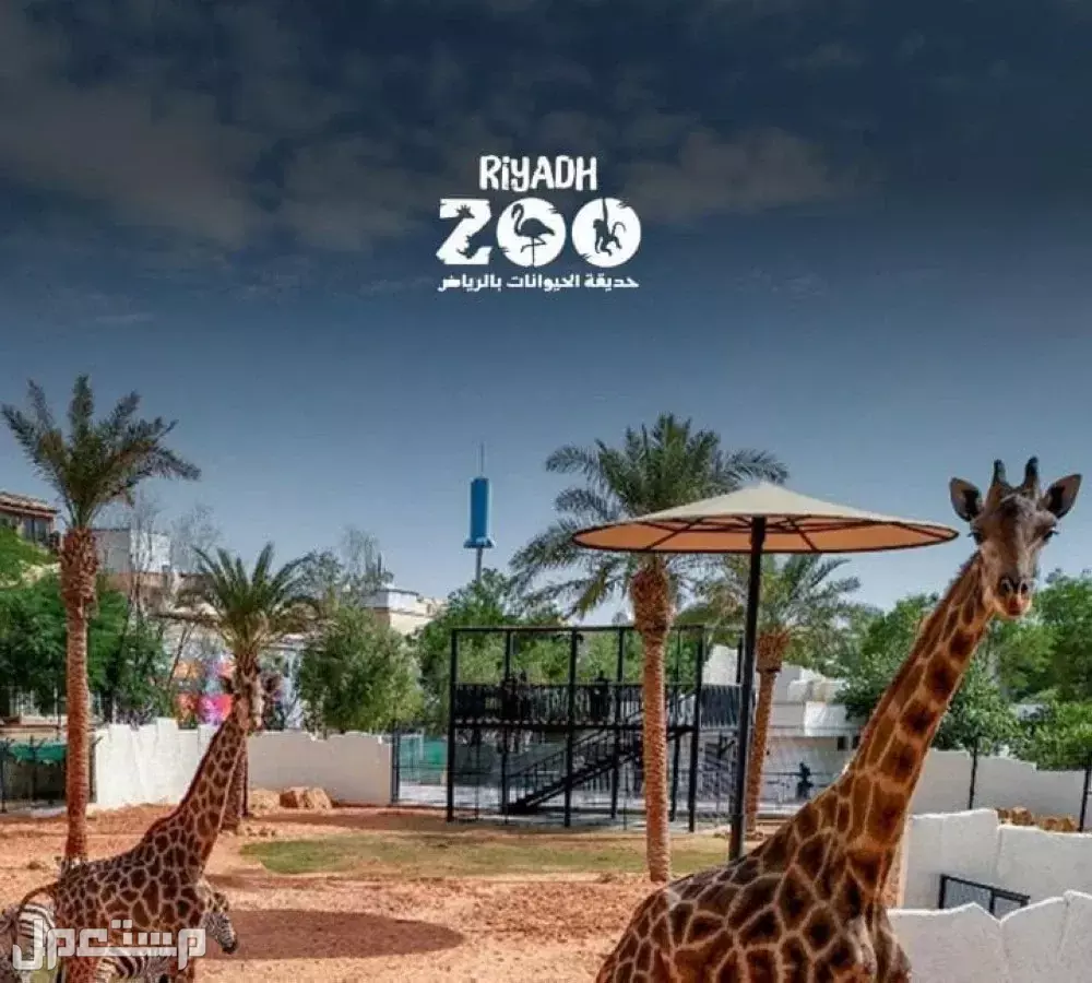 أبرز عروض موسم الرياض لشهر نوفمبر 2025.. مسرحيات وتجارب ومغامرات حديقة حيوان موسم الرياض