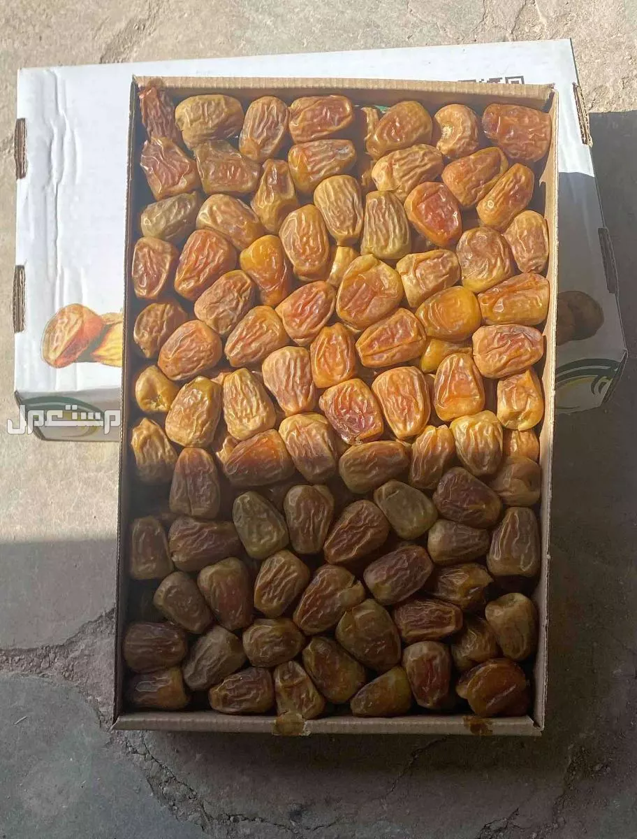 تمر سكري مفتل من مزارعنا بالقصيم طيب ب الحيل