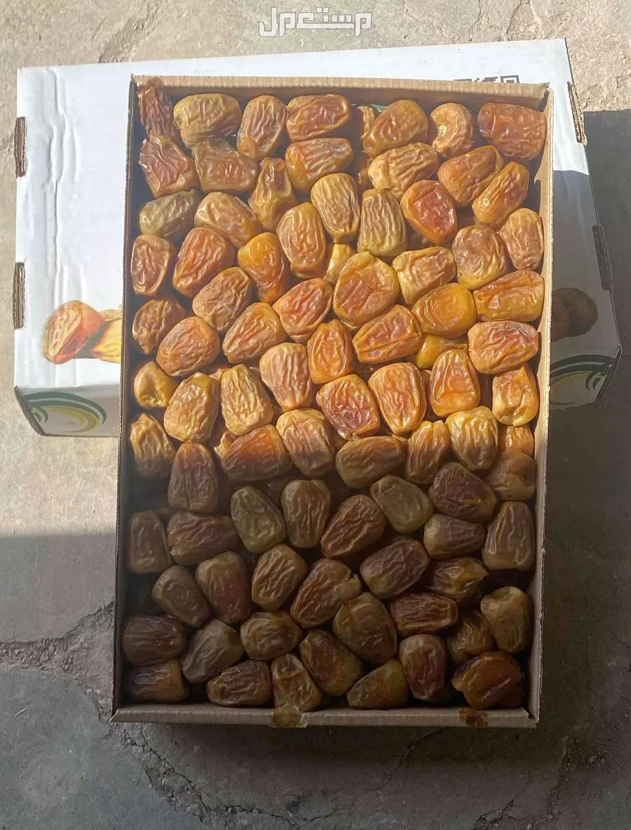 تمر سكري مفتل من مزارعنا بالقصيم طيب ب الحيل