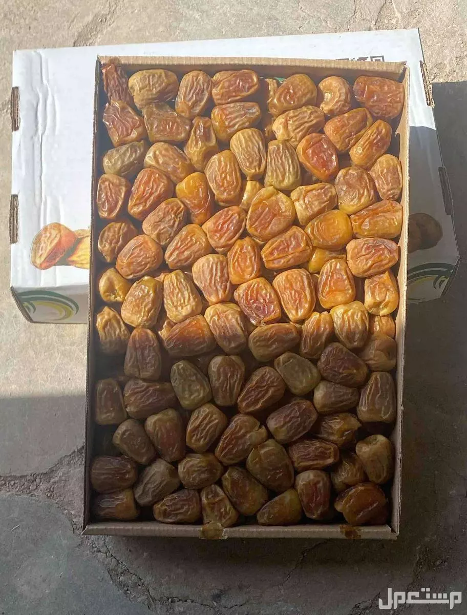 تمر سكري مفتل من مزارعنا بالقصيم طيب ب الحيل