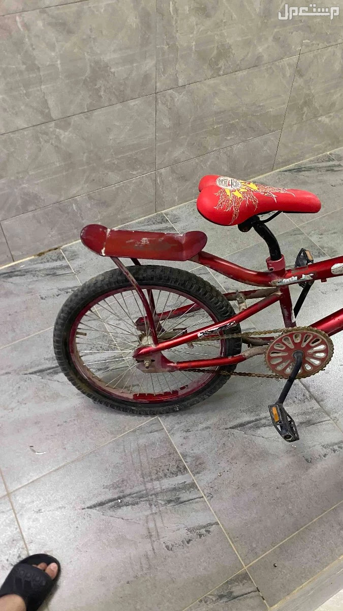 سيكل كوبرا عنابي في حي الجنادريه استخدام سنه السعر 250