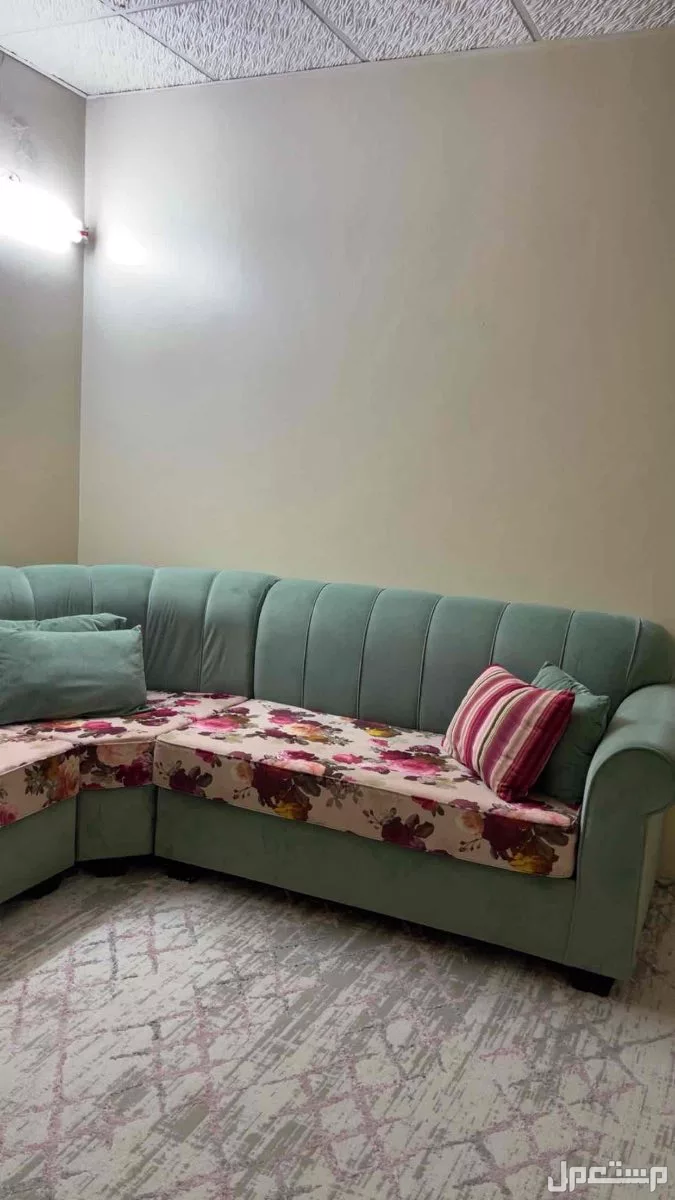 كنب في الطائف بسعر 450 ريال سعودي