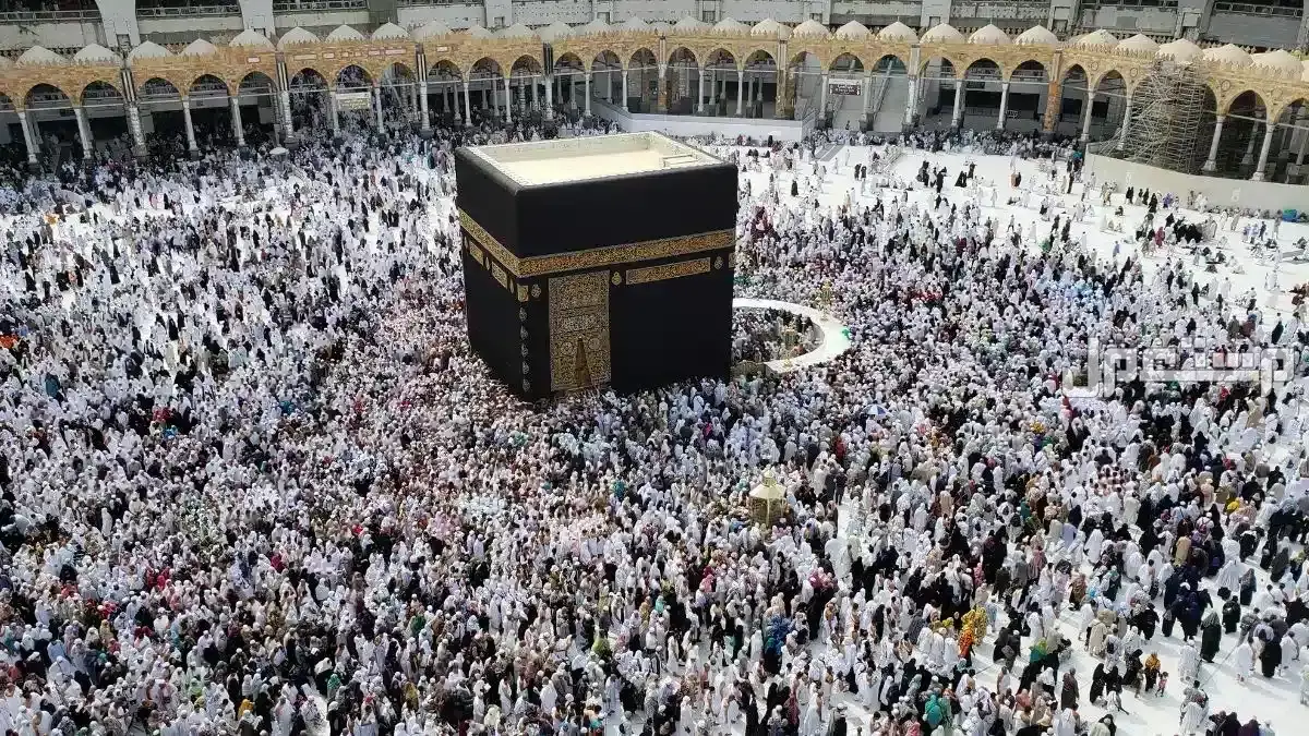 مقارنة أسعار الحج 2026 في جميع الدول العربية.. كم يدفع الحاج؟ تكلفة الحج 2026 في الدول العربية