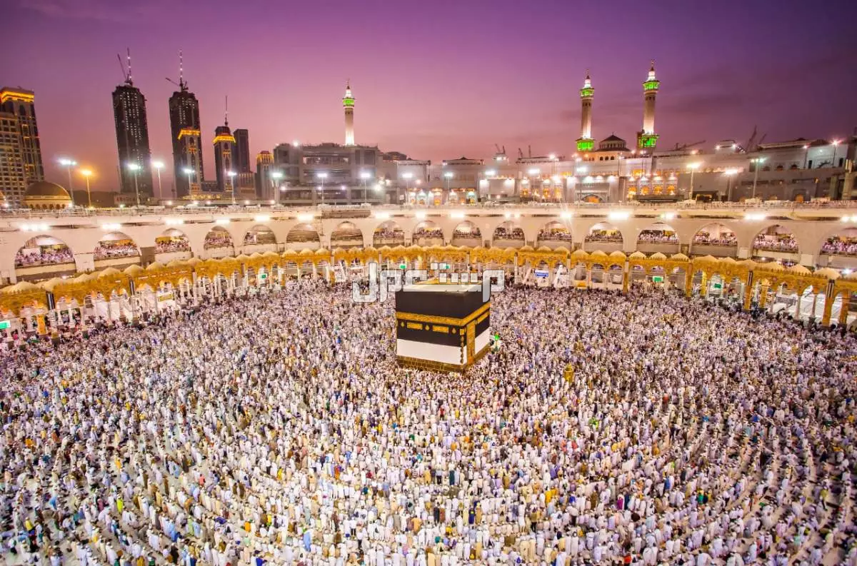 مقارنة أسعار الحج 2026 في الدول العربية.. كم يدفع الحاج؟ كم يدفع الحاج 2026 في قطر؟