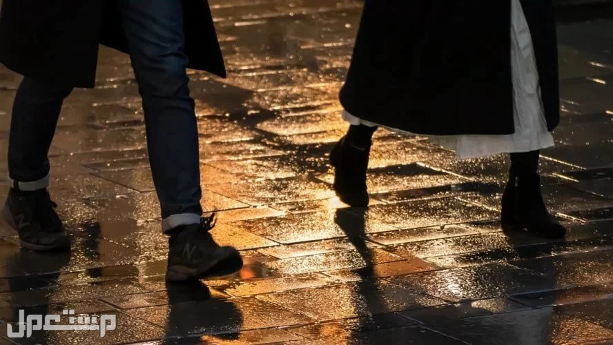 تفسير حلم الشتاء الغزير للمرأة والرجل في النهار والليل رجل وامرأة يمشيان في الشارع تحت المطر