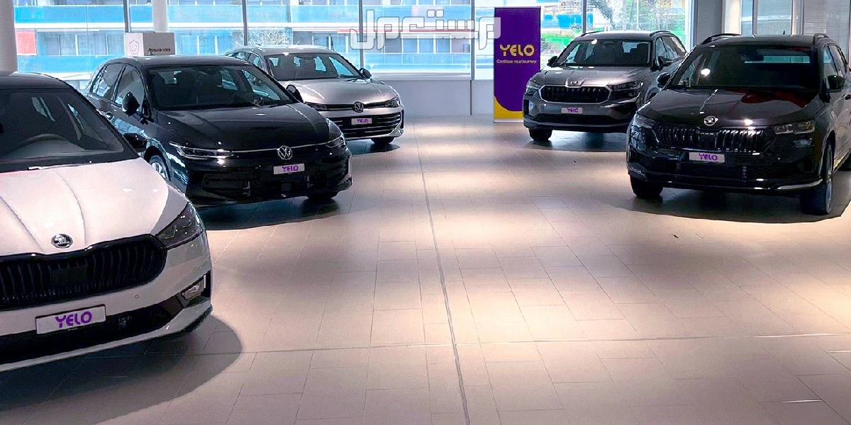 أفضل معارض السيارات في الدمام 2025-2026 مع العناوين معرض سيارات في المنطقة الشرقية