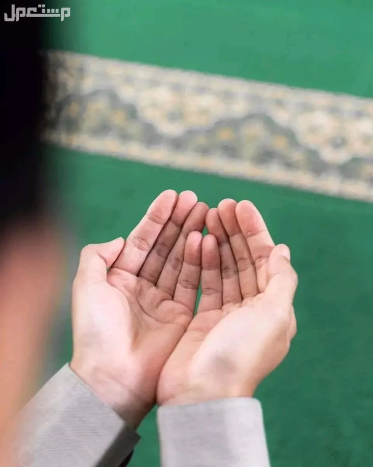 أفضل دعاء للحصول على وظيفة جديدة بسرعة.. أدعية مستجابة افضل دعاء للحصول على وظيفة جديدة