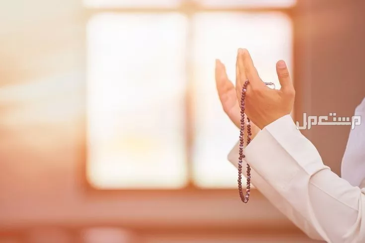 أفضل دعاء للحصول على وظيفة جديدة بسرعة.. أدعية مستجابة