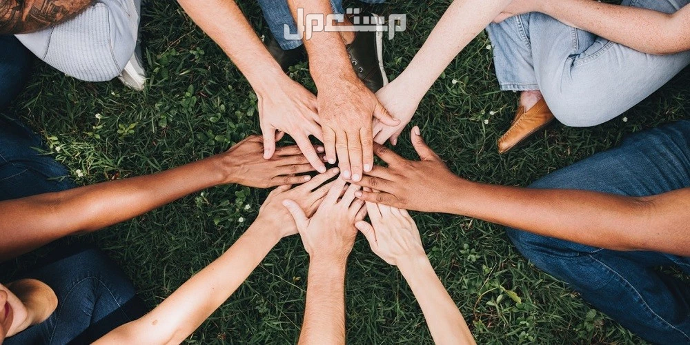 كلمات وعبارات عن اليوم العالمي للتسامح 2025 مؤثرة ومعبرة صور عن التسامح