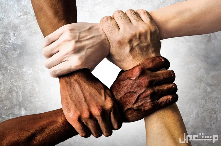 كلمات وعبارات عن اليوم العالمي للتسامح 2025 مؤثرة ومعبرة يد تمسك يد رمز التسامح