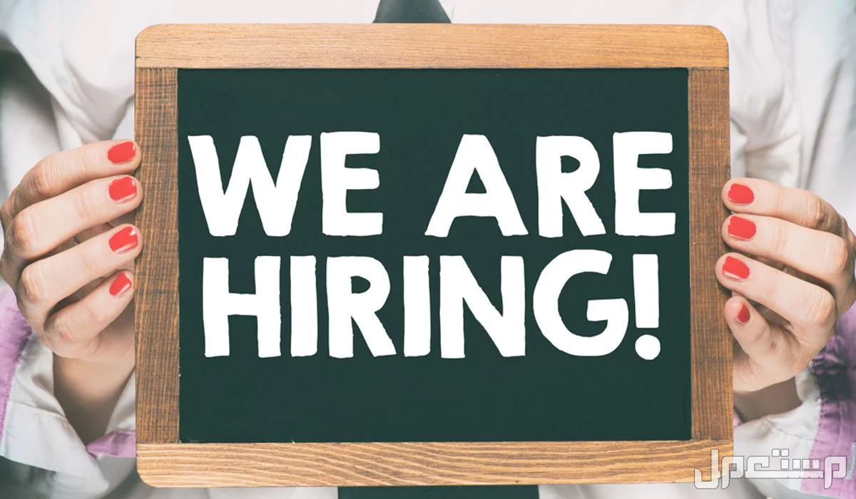أفضل 10 منصات عربية للحصول على وظيفة لعام 2026 أفضل مواقع التوظيف العالمية 2026