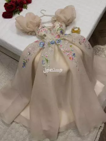 حي الرايه في المدينة المنورة بسعر 400 ريال سعودي