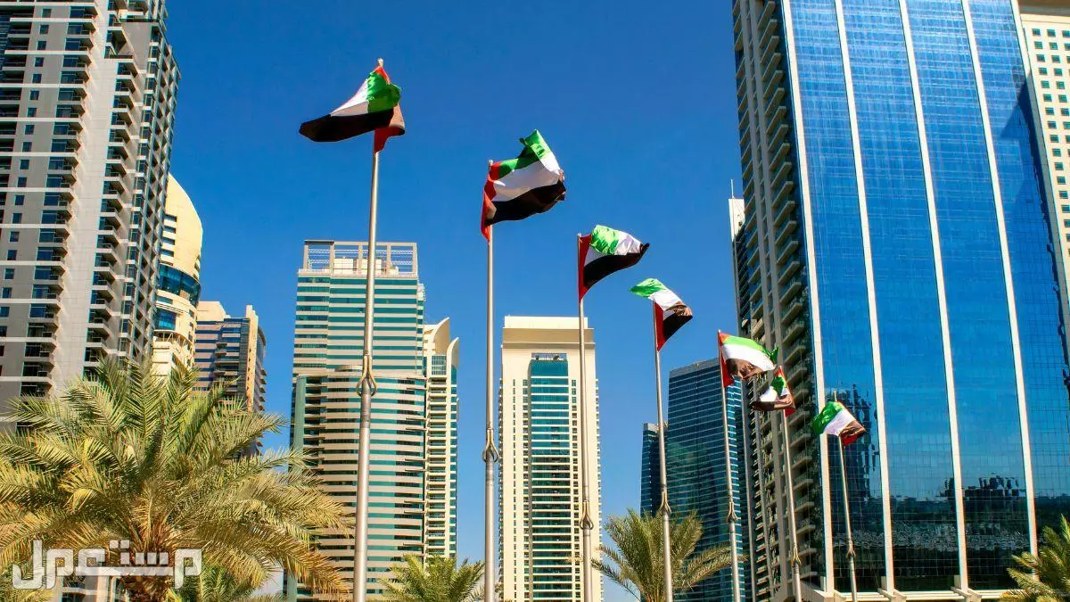 أجمل كلمات وعبارات عن يوم العلم الإماراتي 2025 بالإنجليزي والعربي عبارات عن يوم العلم الإماراتي 2025