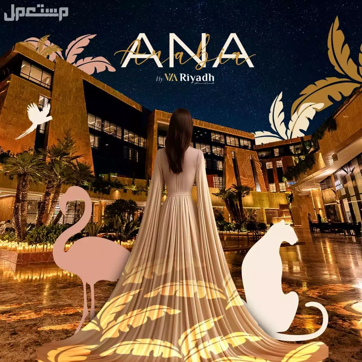 موعد معرض انا عربية 2025.. أسعار التذاكر ورابط الحجز معرض أنا عربية 2025