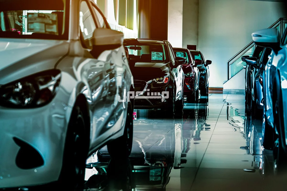افضل معرض سيارات في المدينة المنورة 2026 جديدة ومستعملة افضل معرض سيارات في المدينة المنورة 2026