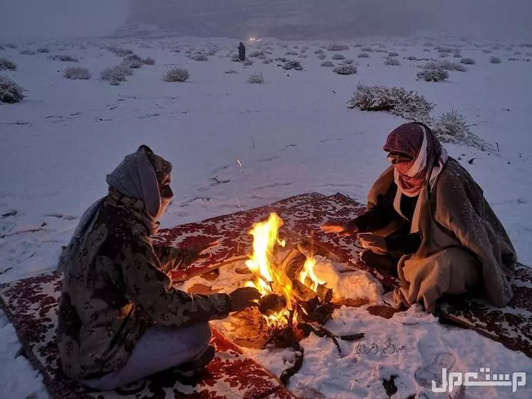 أفضل 10 أماكن للخروج في شتاء السعودية 2026 أماكن الثلوج في السعودية 2026