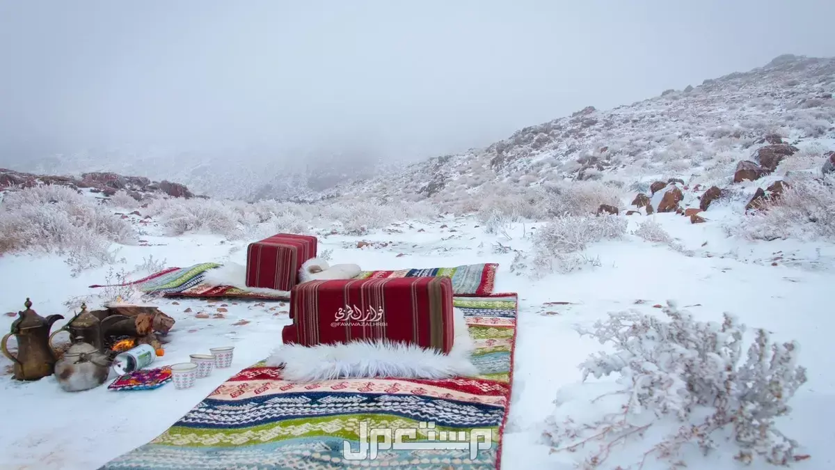 أفضل 10 أماكن للخروج في شتاء السعودية 2026 تبوك