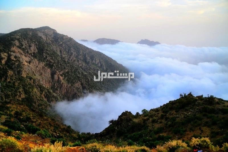 أفضل 10 أماكن للخروج في شتاء السعودية 2026 أبها وجبل السودة