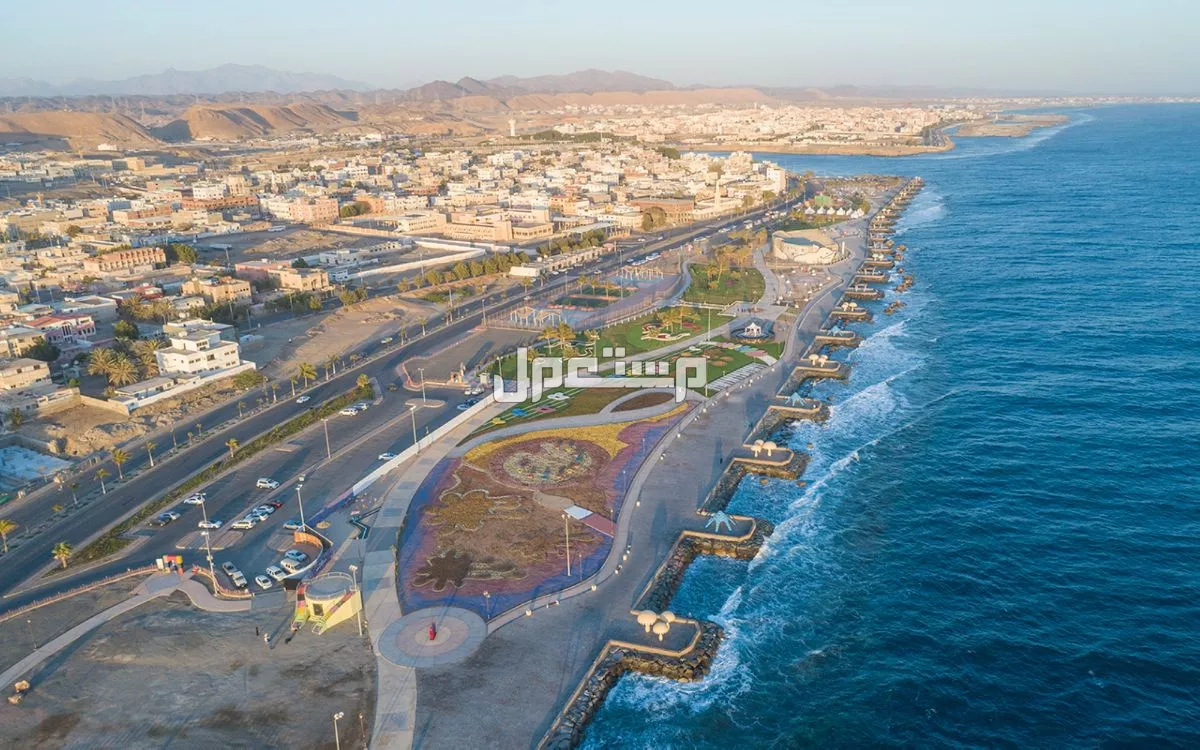 أفضل 10 أماكن للخروج في شتاء السعودية 2026 محافظة الوجه